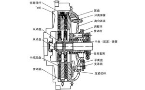 The development of clutch